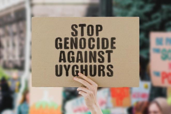University Boards: Divest From Uyghur Genocide